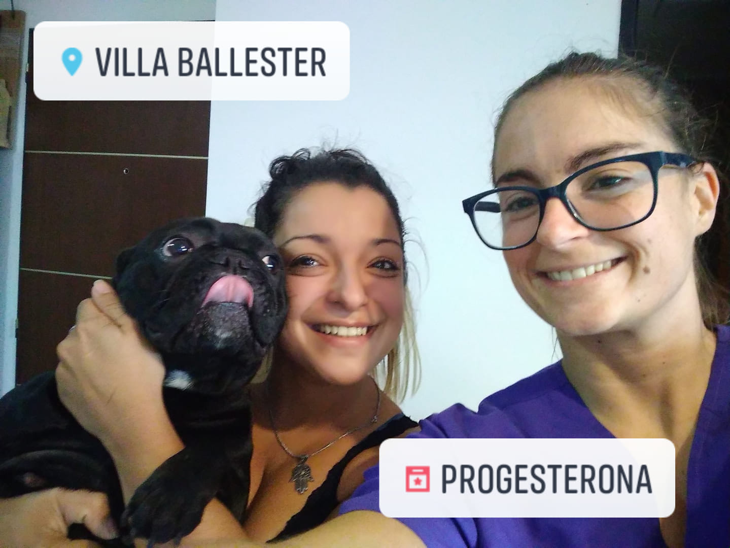 ️ Gracias Meline y Nina por elegir... Animal Reproduccion