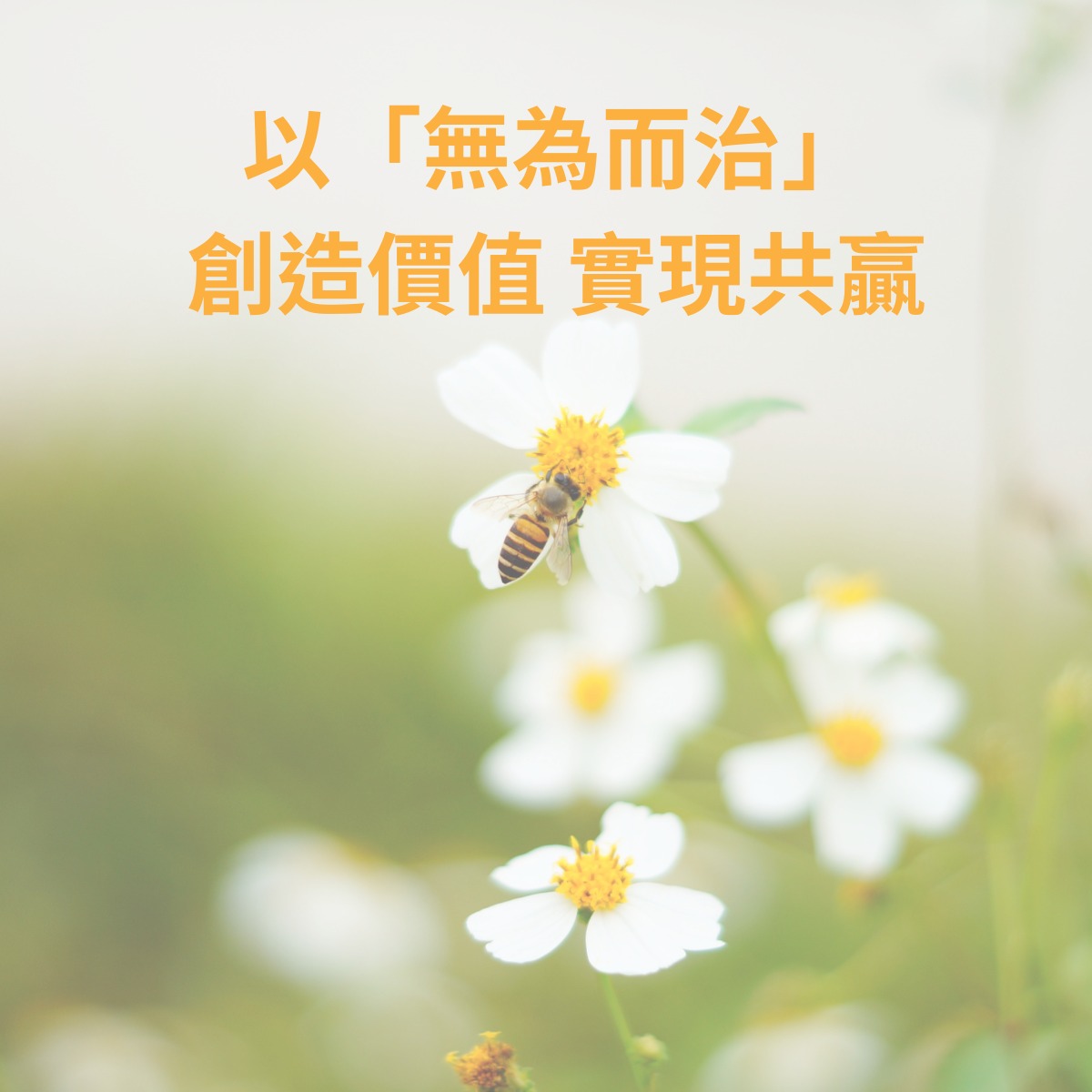 曾錦強 KK Tsang