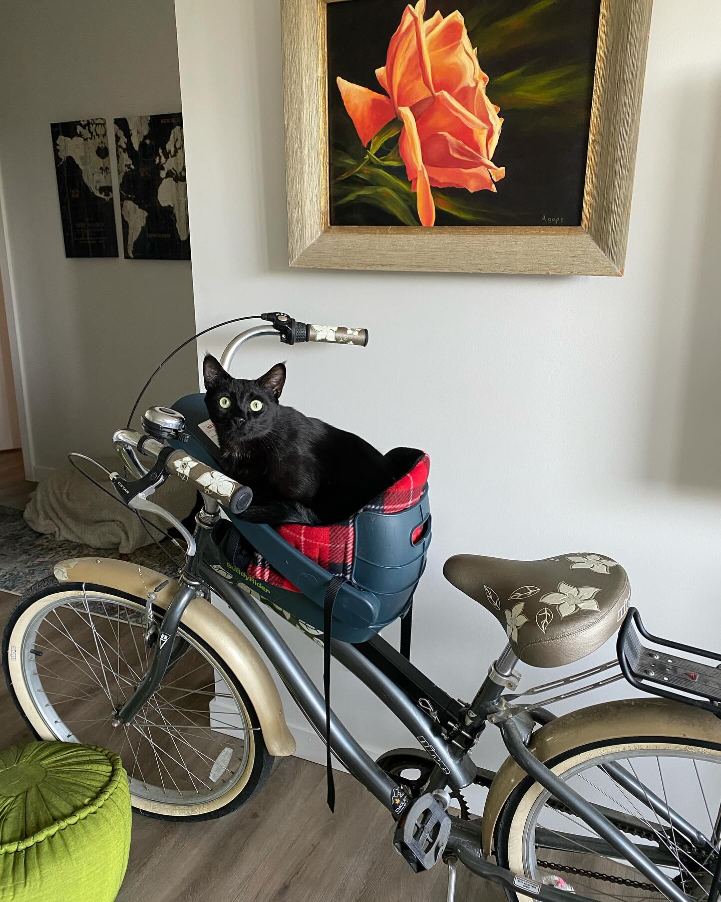 Buddyrider