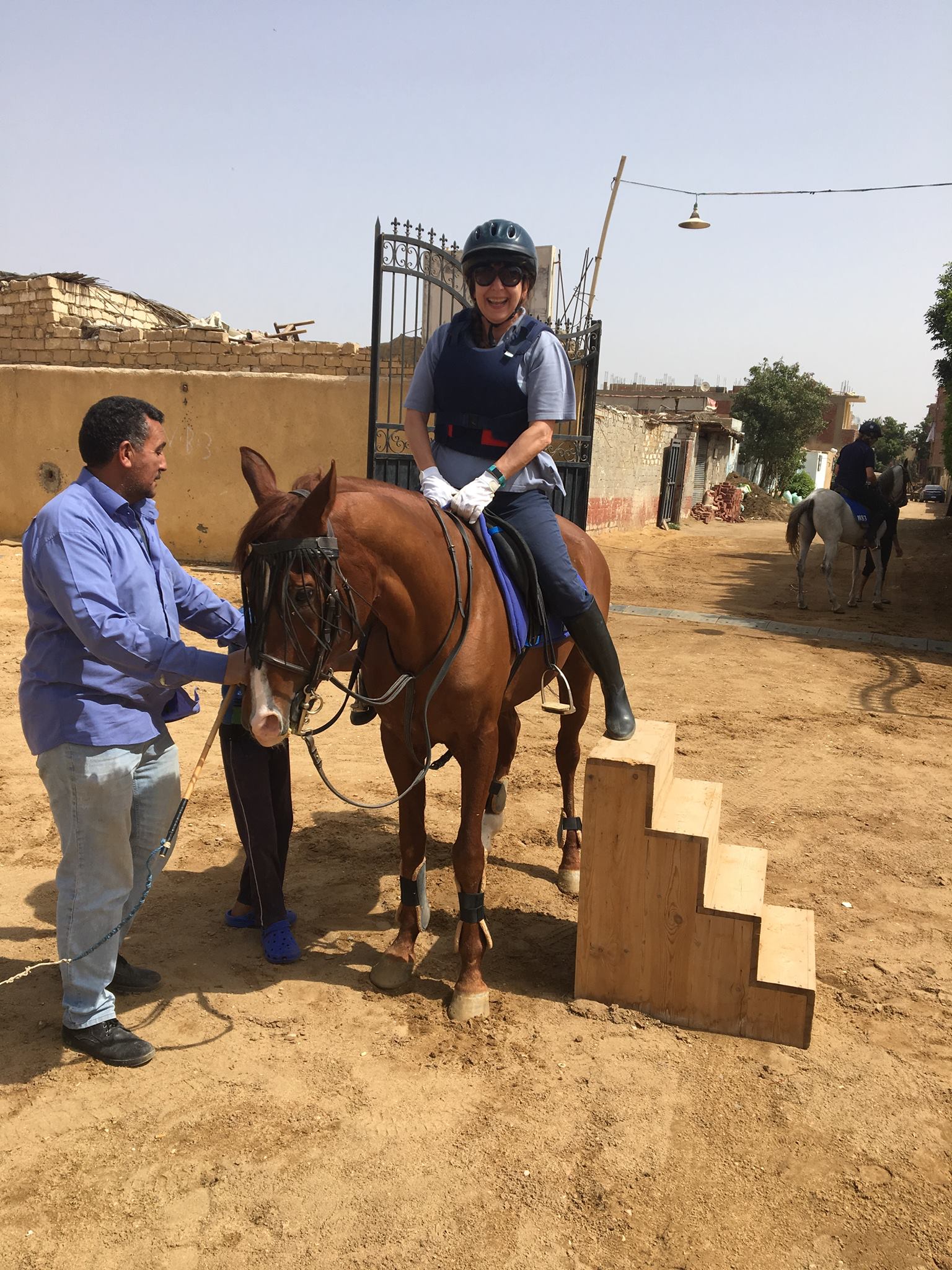 NB Stables | Cairo