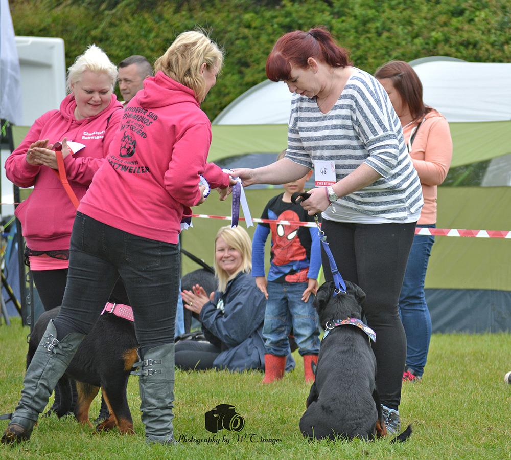 Rottie Rumble