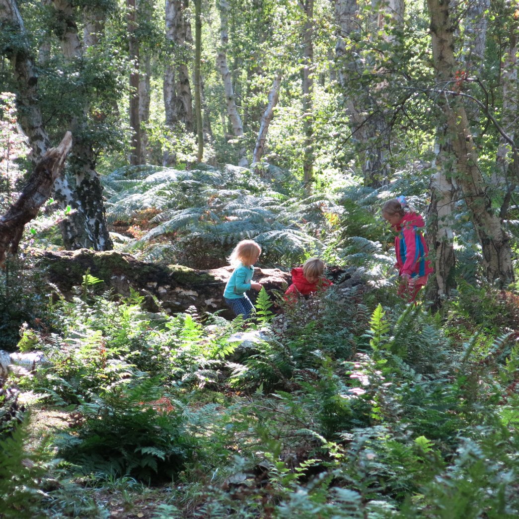 Authentic Learning Environment