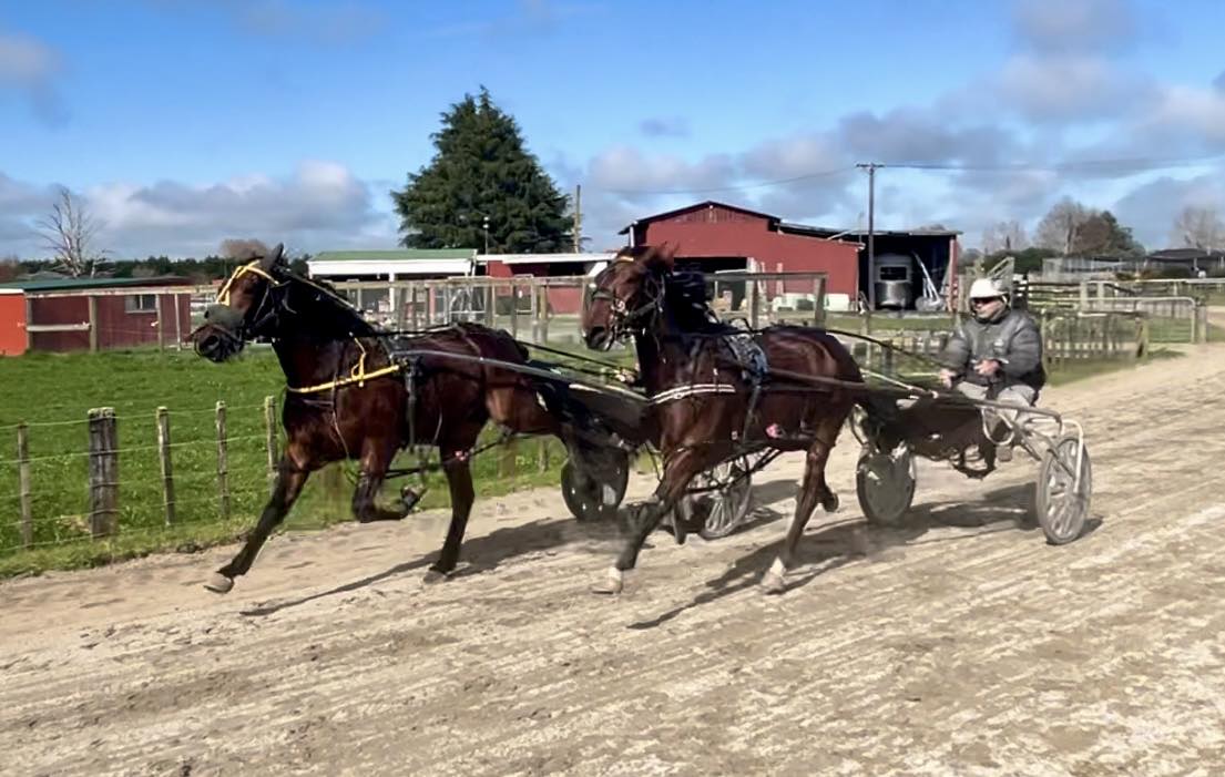 Ferguson Racing - ⬅️MIKE ROSS - Has developed into a...