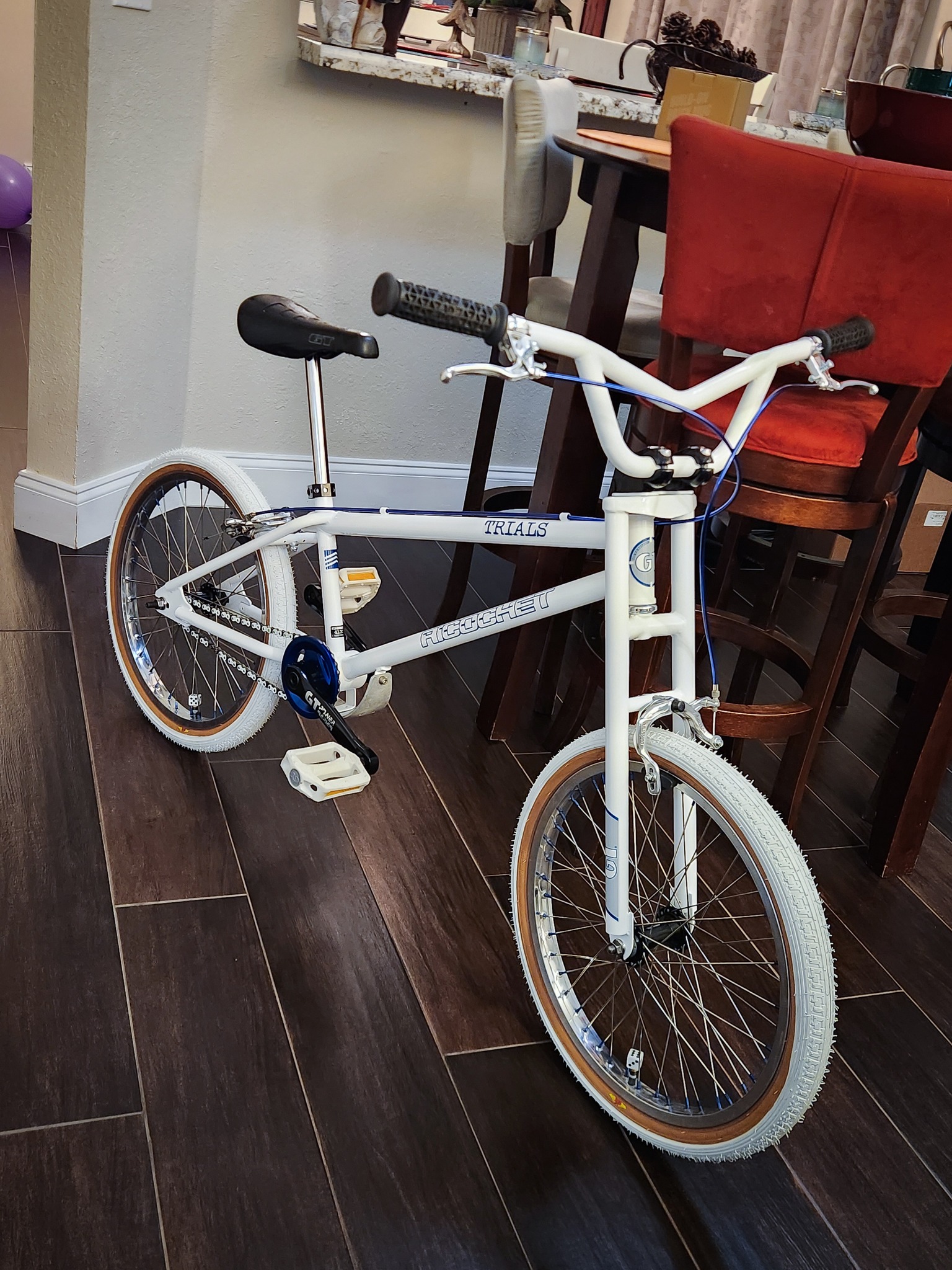 Custom '88 GT Ricochet BMX with Advan sprocket