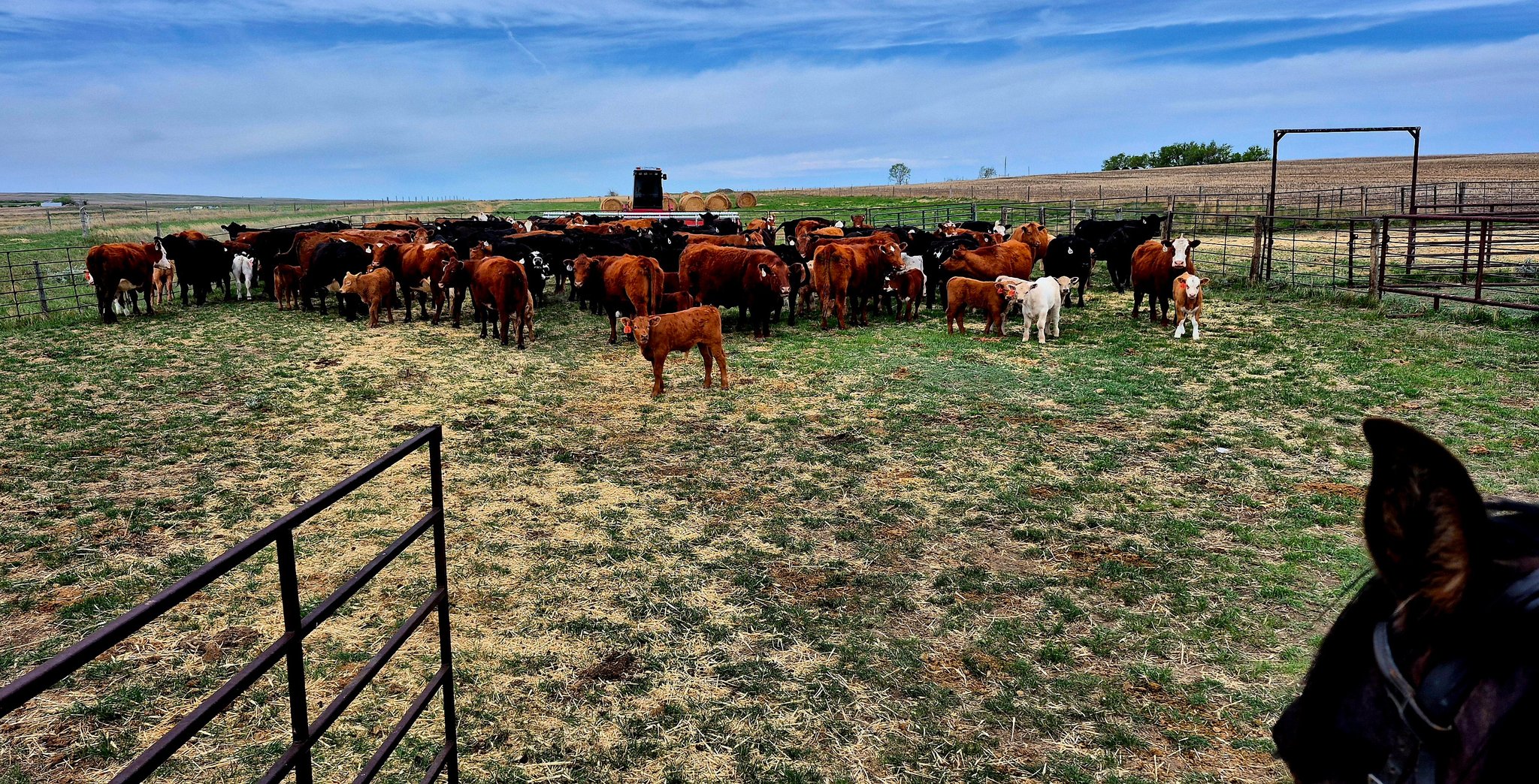 The Ranch Life
