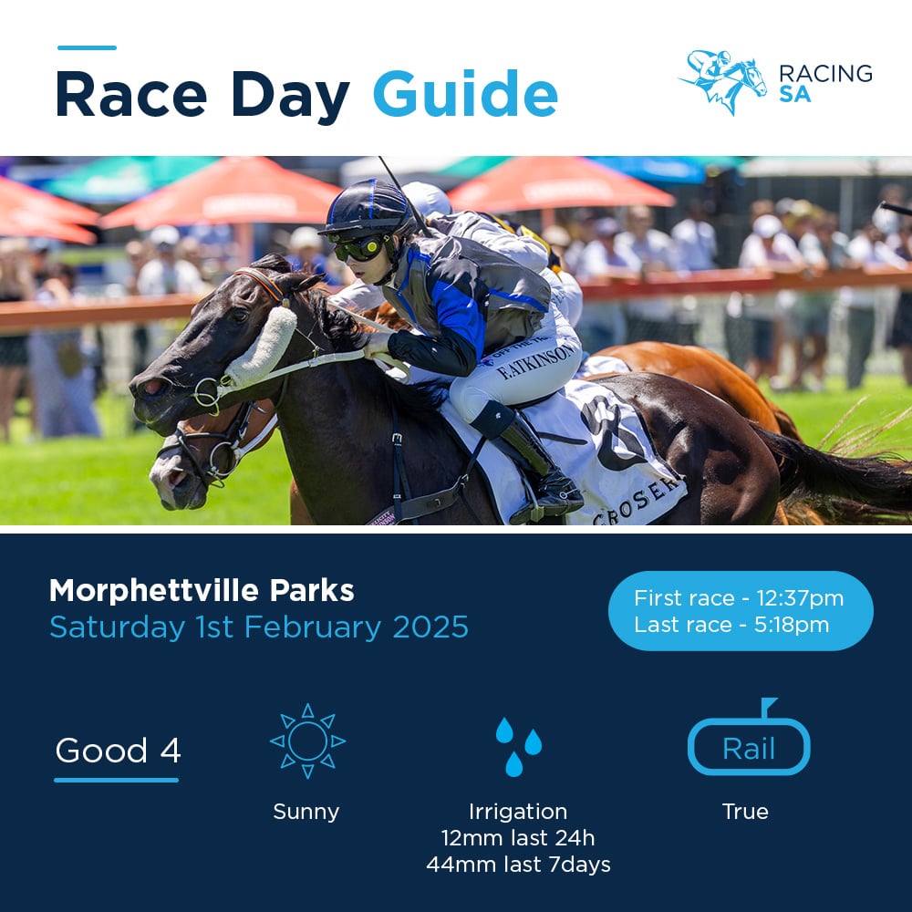 Racing - Here's what you need to know ahead of tomorrow's metro races ...