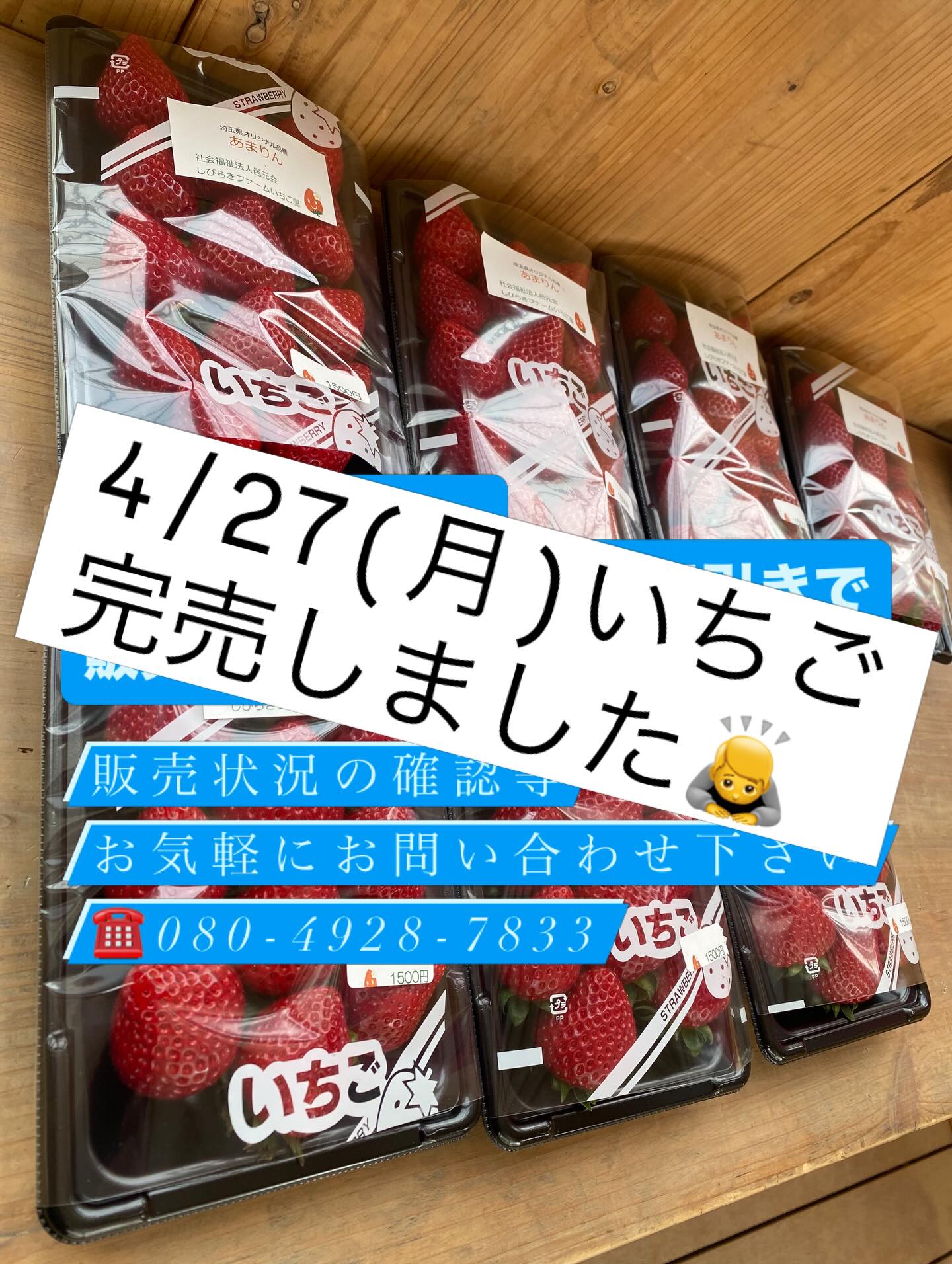 4/27(月) いちご完売しました? 臨時営業でお足元が悪い中ご来園 