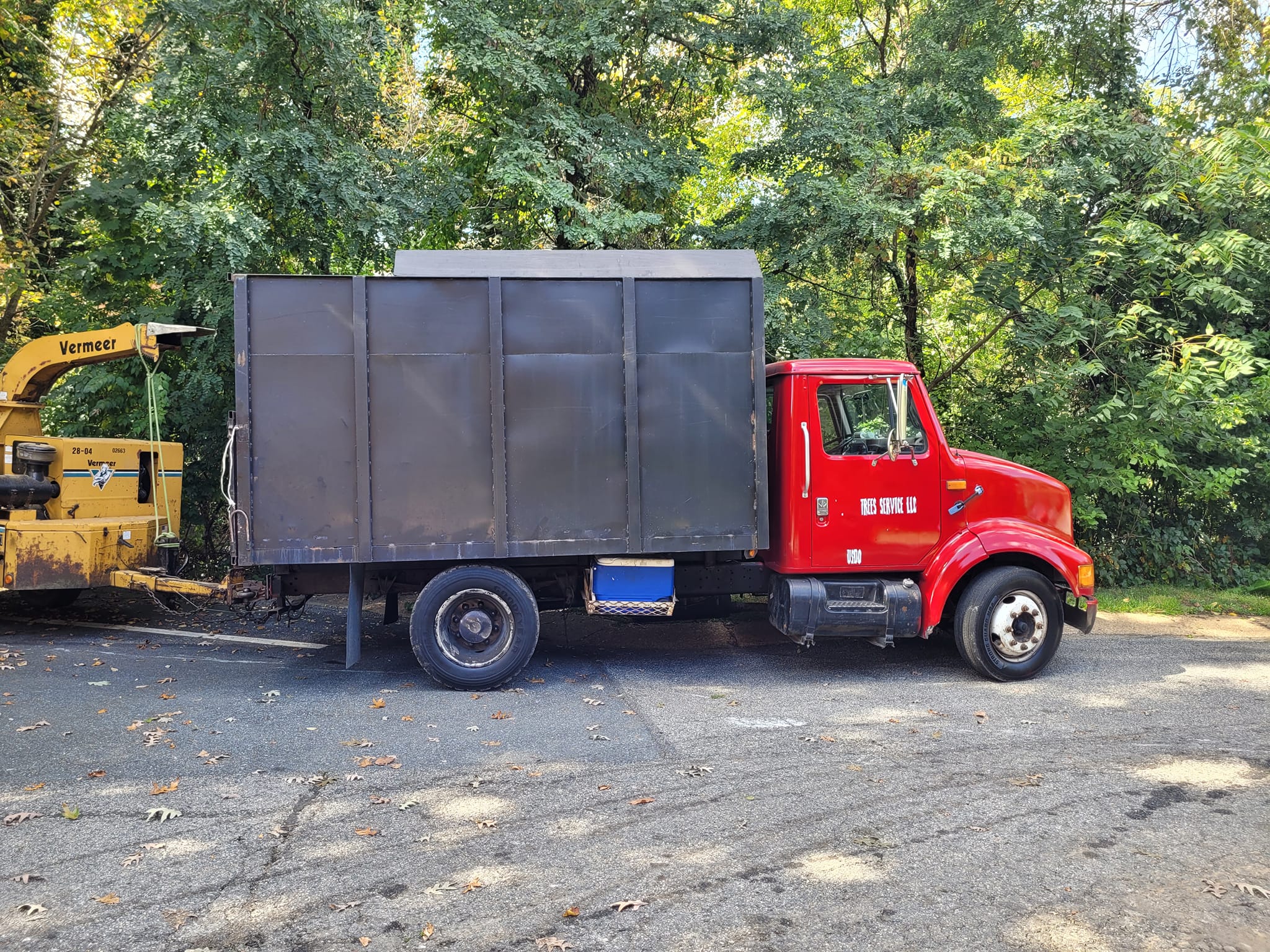 Magic stump grinder and tree service | Newark DE