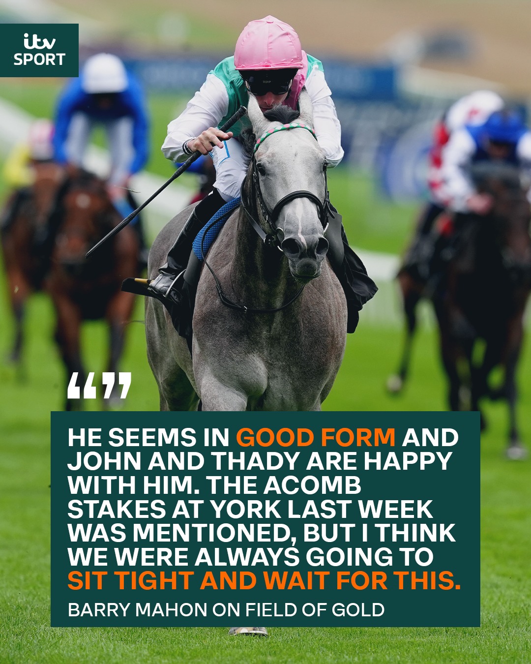 ITV Racing - Can Field Of Gold follow in some illustrious hoofprints ...
