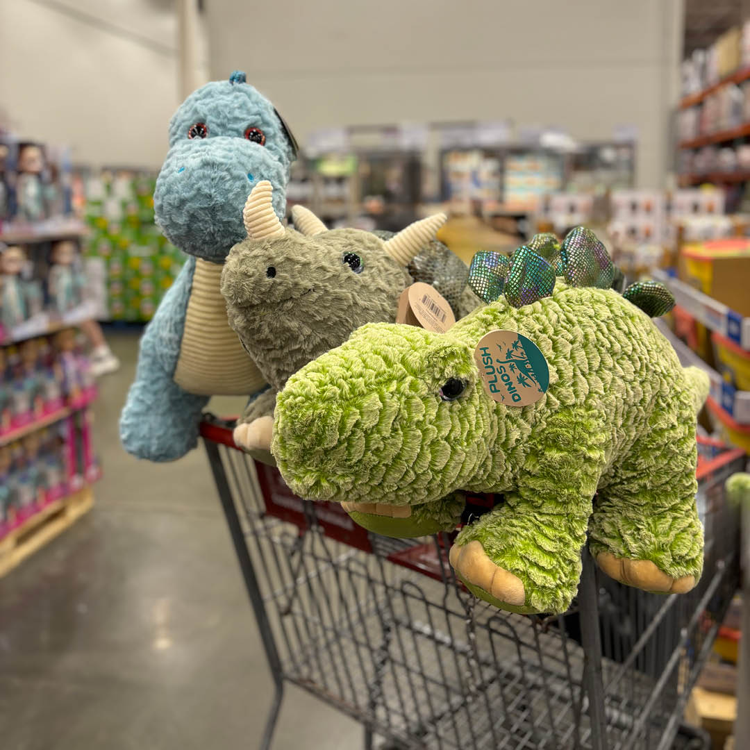 Need a hug? 🦖 Add a Hugfun... - Costco Wholesale Australia