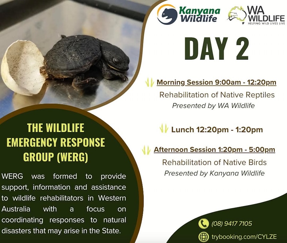 Perth Wildlife Rescue... - Perth Wildlife Rescue Network