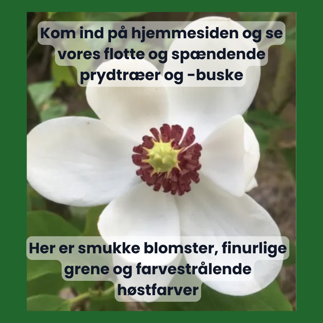 plantecenter-fyn