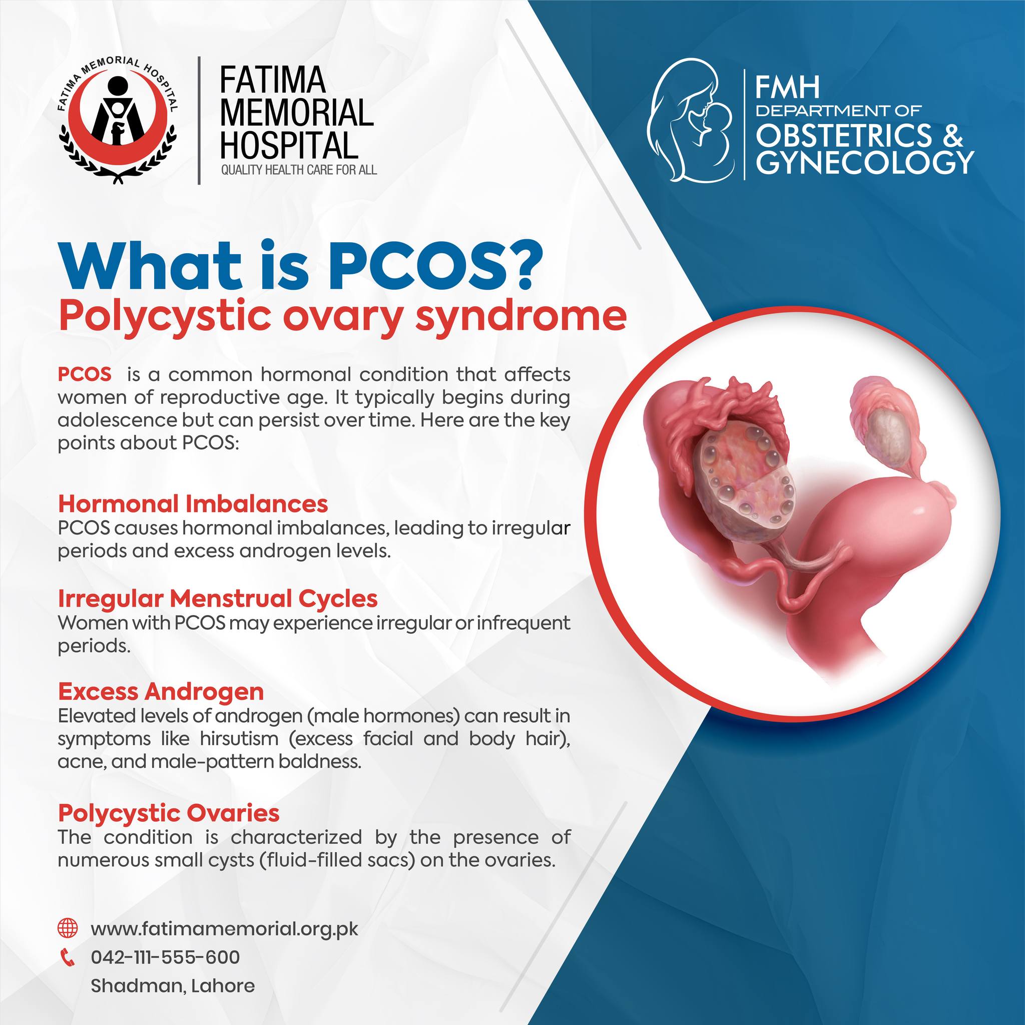 Fatima - 🌸 Ladies, let’s talk about PCOS! 🌸 Hormonal Imbalances: PCOS ...