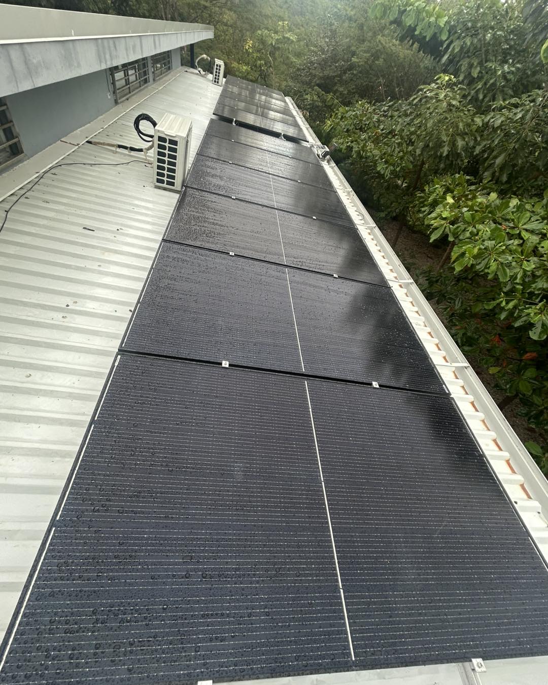 Panel Sol | Cañas