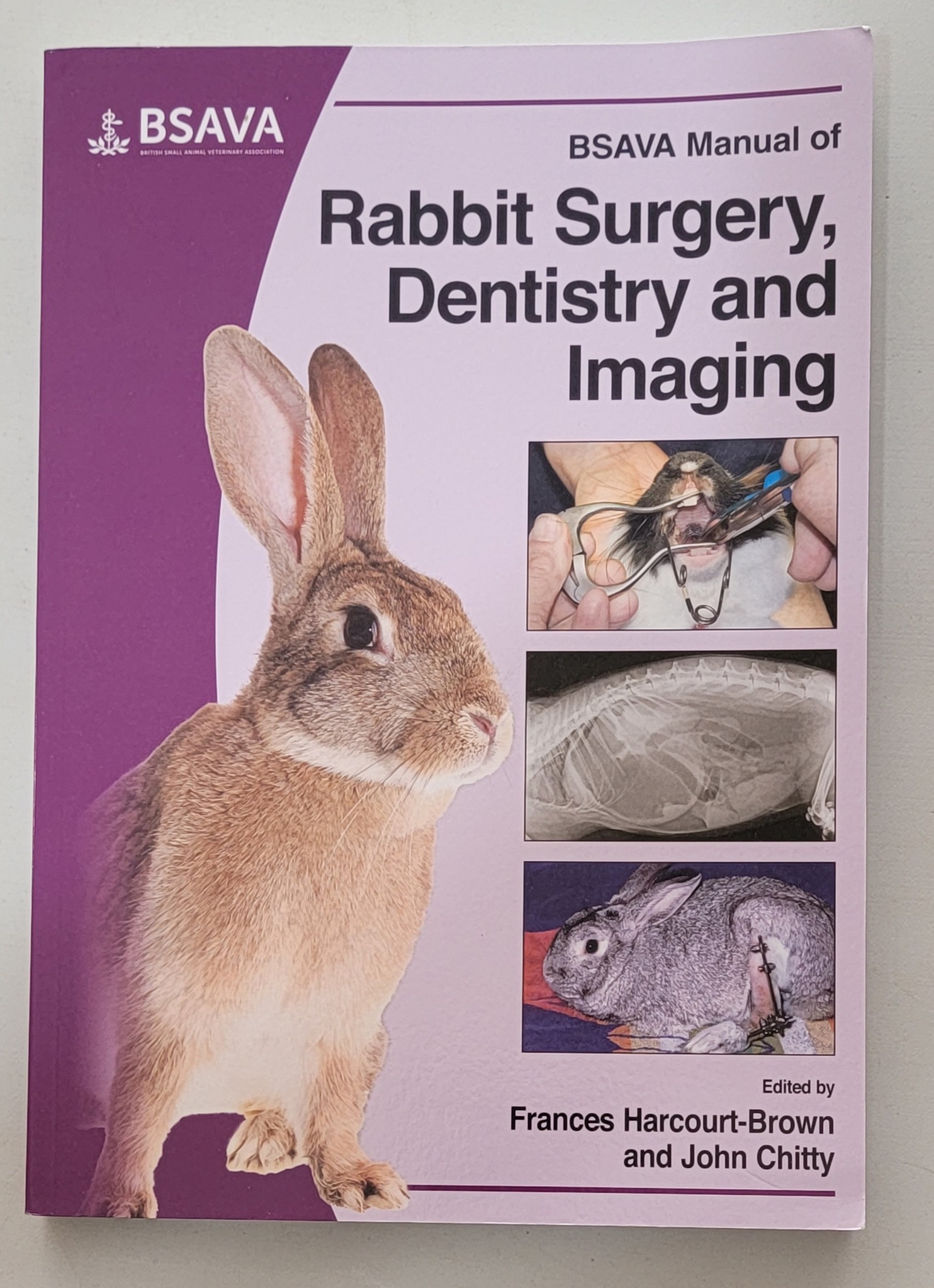 RoseOak Ranch: TAMUK Composite Meat Rabbits - Phenotype: Opal Genotype ...