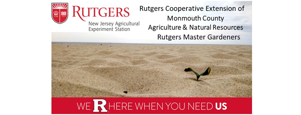 FCH... - FCHS Burlington County, Rutgers Cooperative Extension