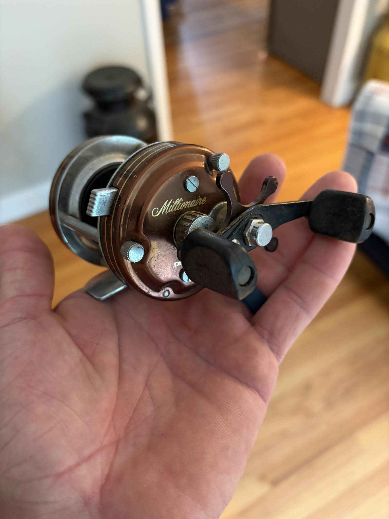 Daiwa Millionaire Bay Area Special (100 L)