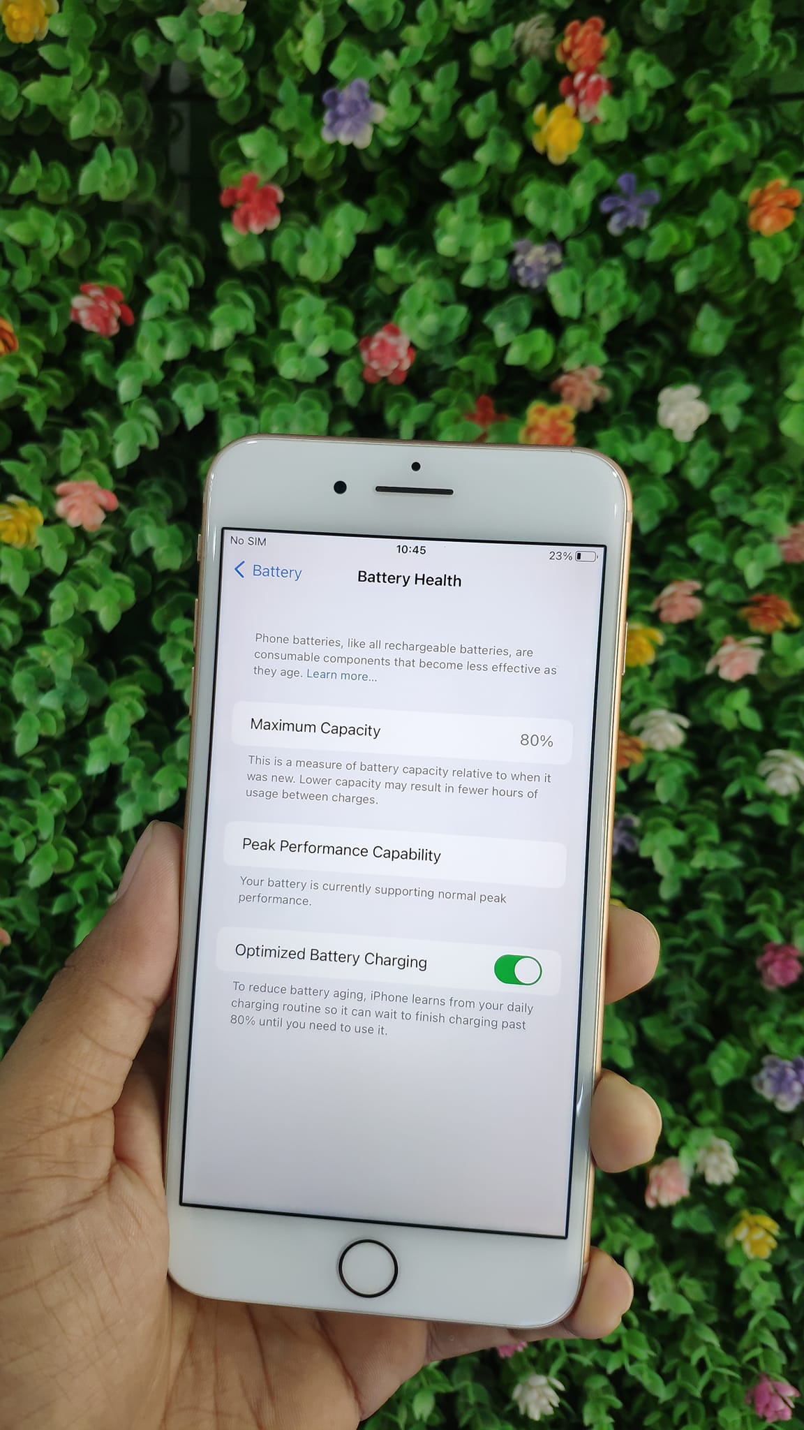 APL Mobile | Sagaing