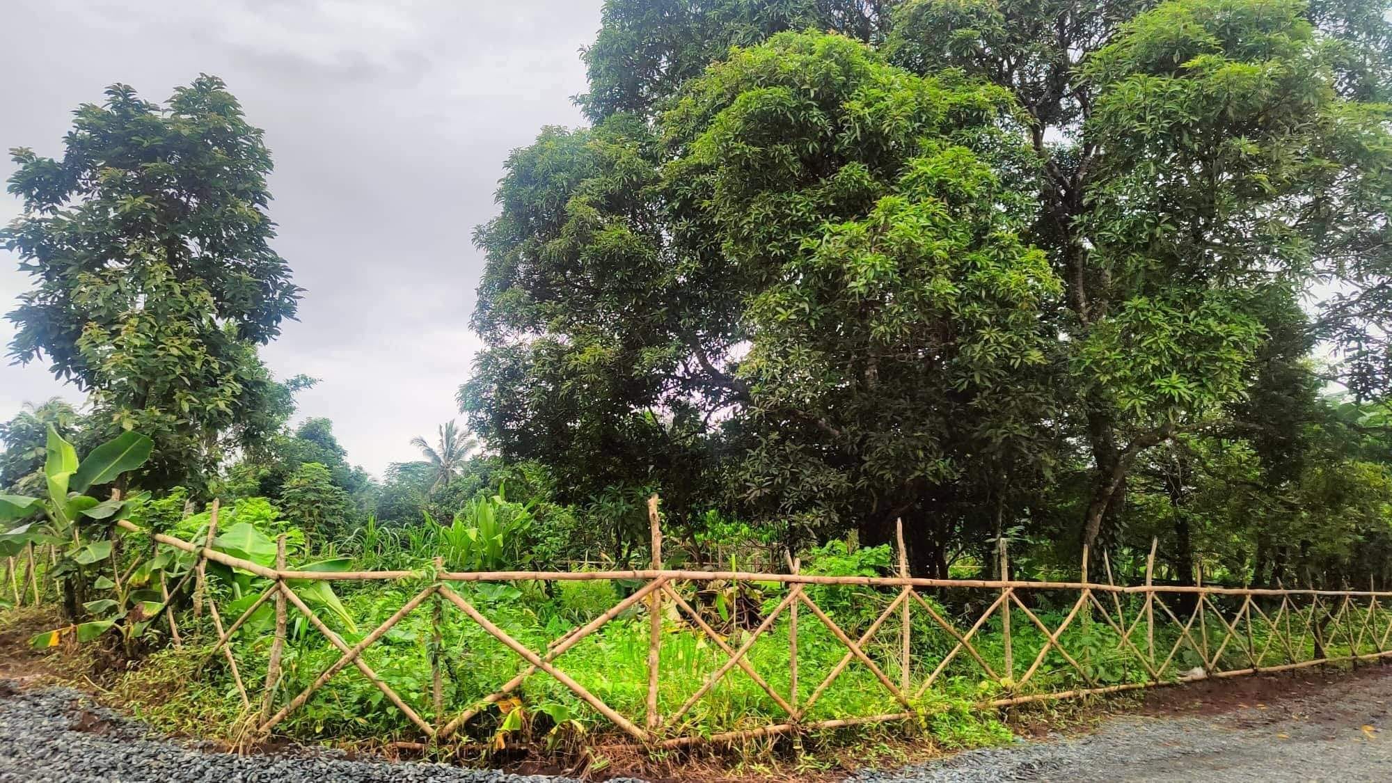Murang lupa for sale | Cavite