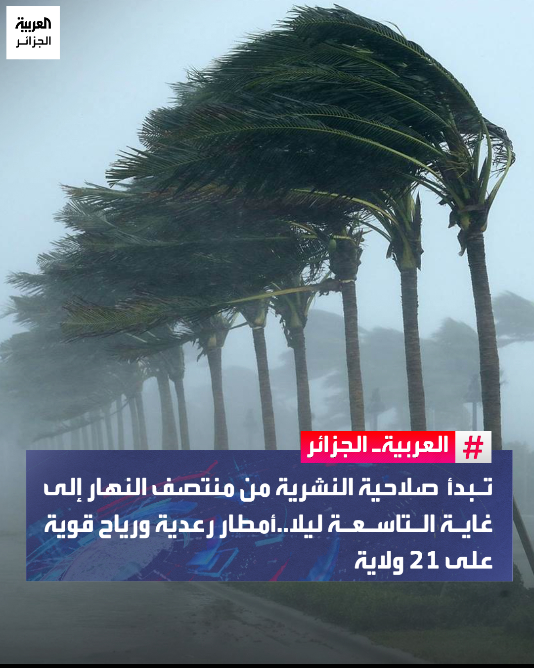 نبه ديوان الأرصاد... - العربية الجزائر Al Arabiya Algeria | Facebook