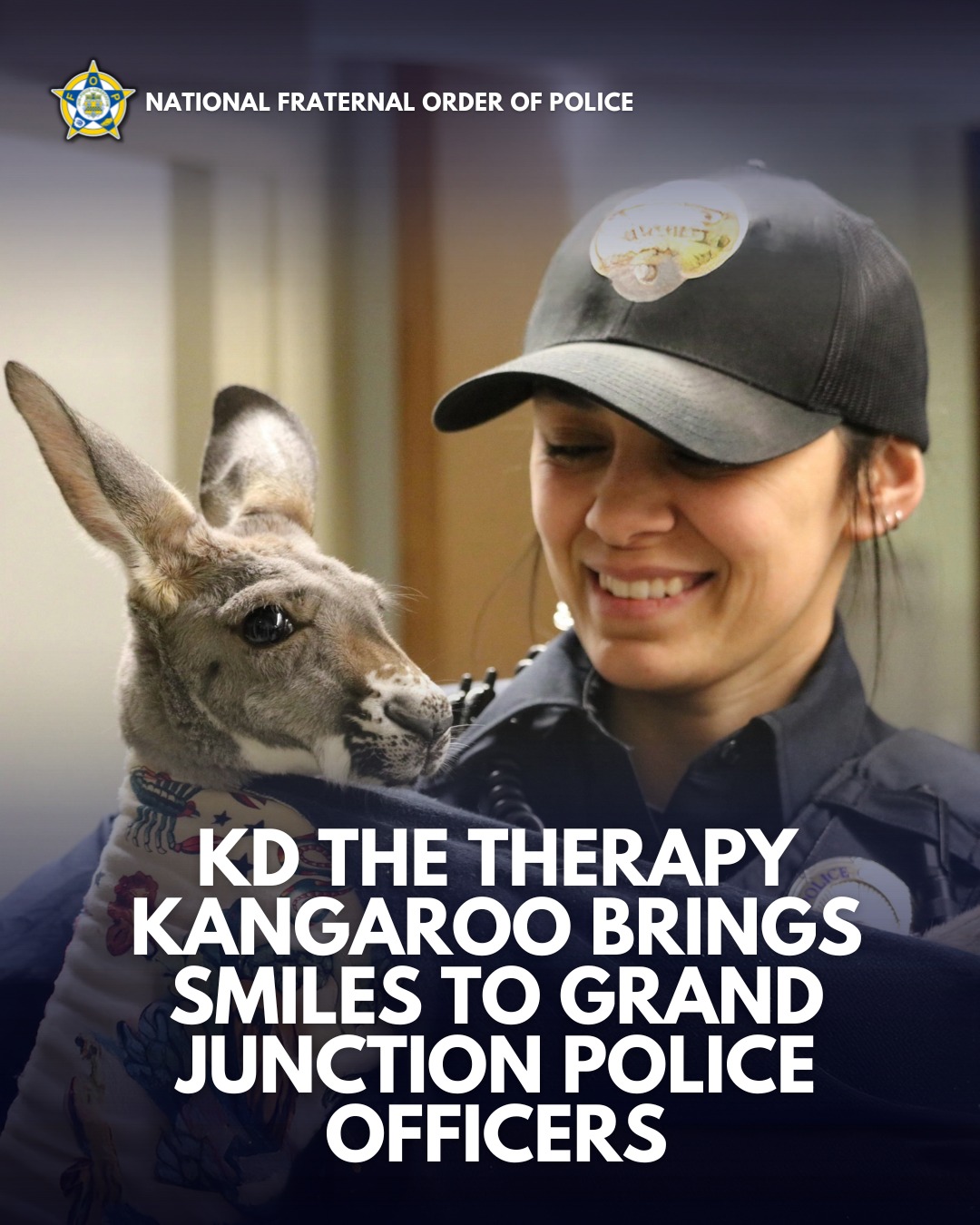 Therapy Kangaroo... - National Fraternal Order of Police | Facebook