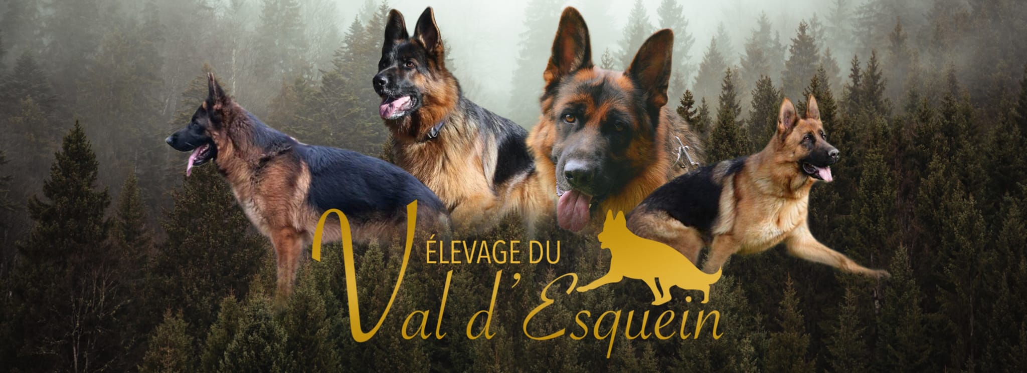 newman-du-val-de-la-newman-du-val-de-la-petite-creuse