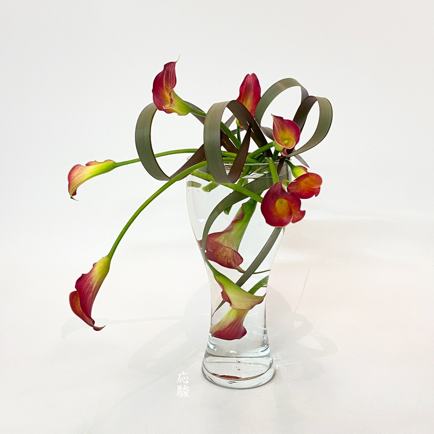 いけばな松風/Ikebana - #callalily #カラー #phormium