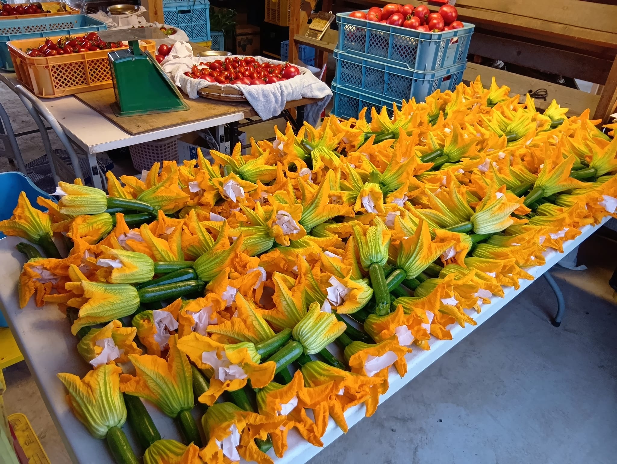 はるきちオーガニックファーム直売所 | Ishikari-shi Hokkaido