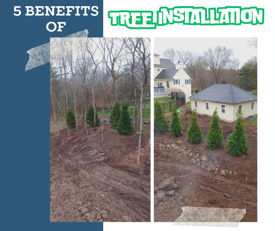 Marsh - These are the 5 benefits for installing trees around your ...