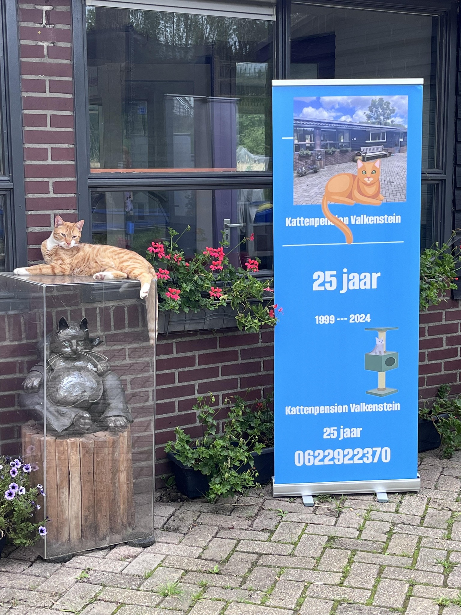 Kattenpension Smagtenberg... - Kattenpension Smagtenberg