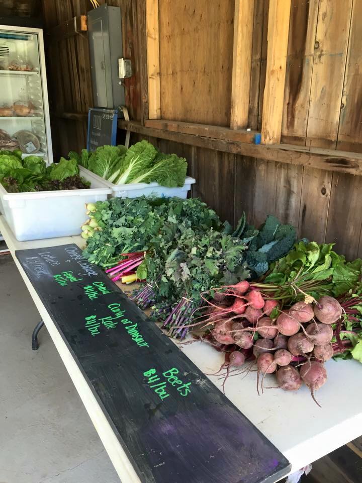 Deep Roots Farm