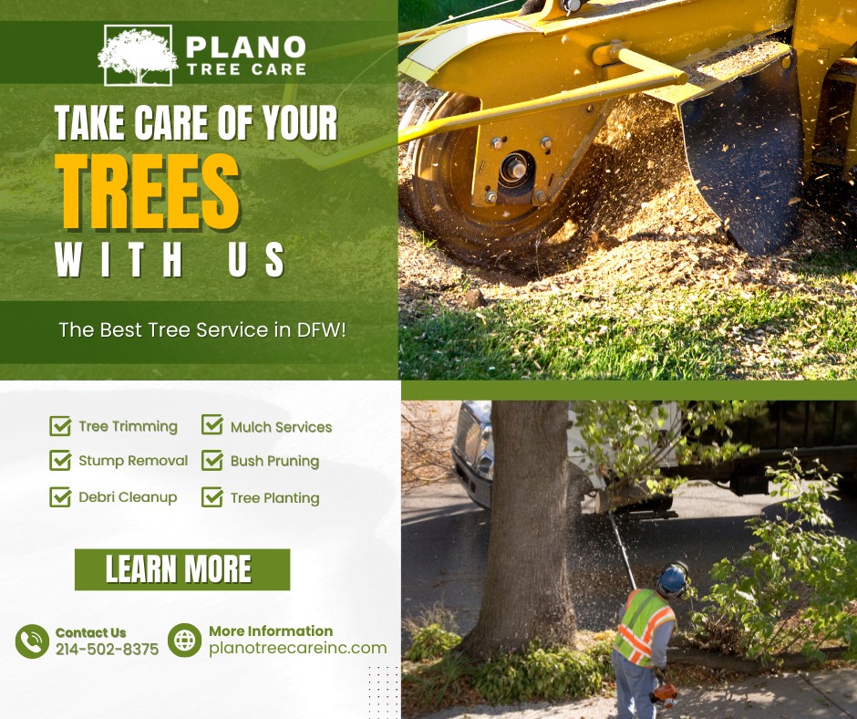🌳 Transforming Landscapes, One Tree... - Plano Tree Care Inc | Facebook