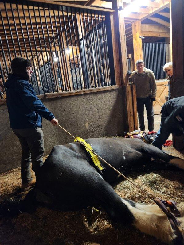 Polk Equine Emergency Rescue