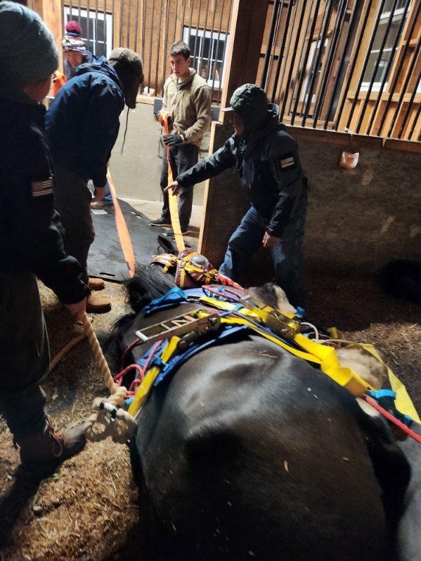 Polk Equine Emergency Rescue