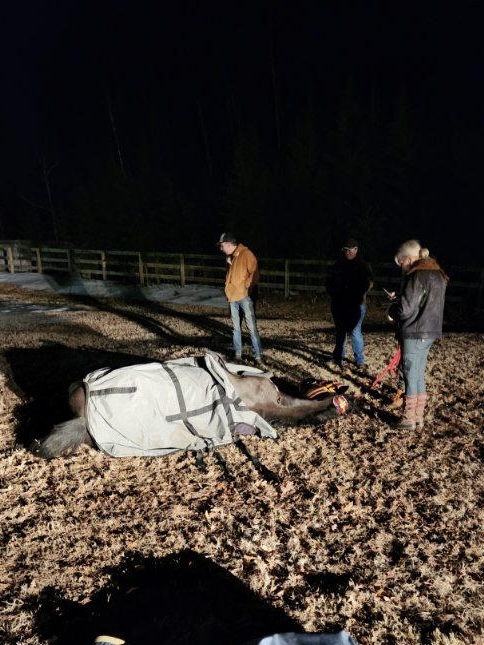 Polk Equine Emergency Rescue