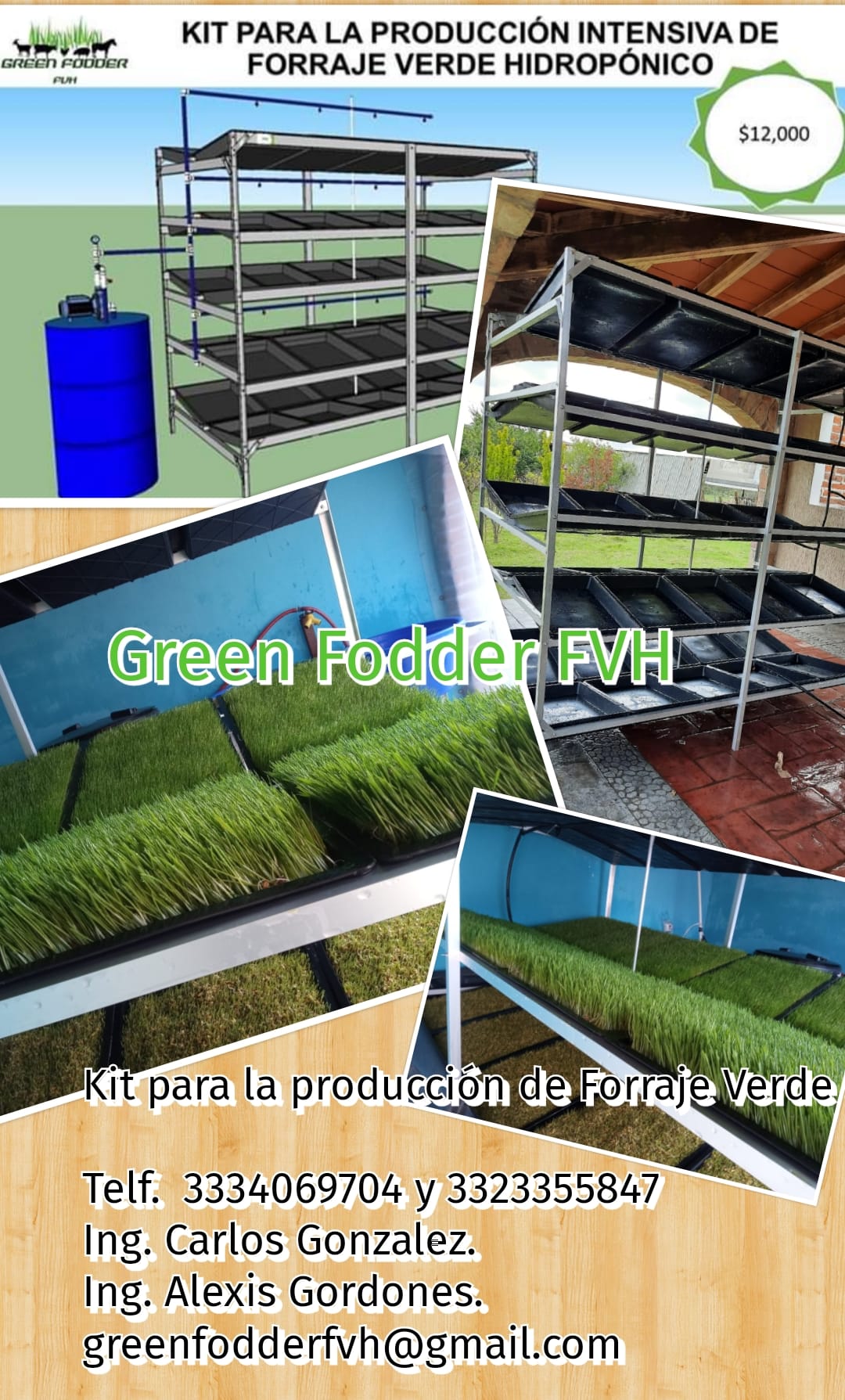 #forrajeverdehidroponico Kit para la... - Green Fodder FVH | Facebook
