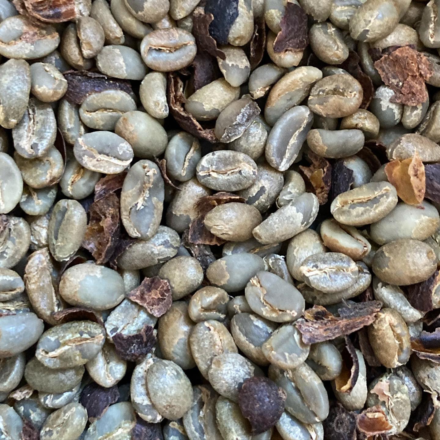 Vendemos en verde! Lotes micro... - Natural coffee special | Facebook