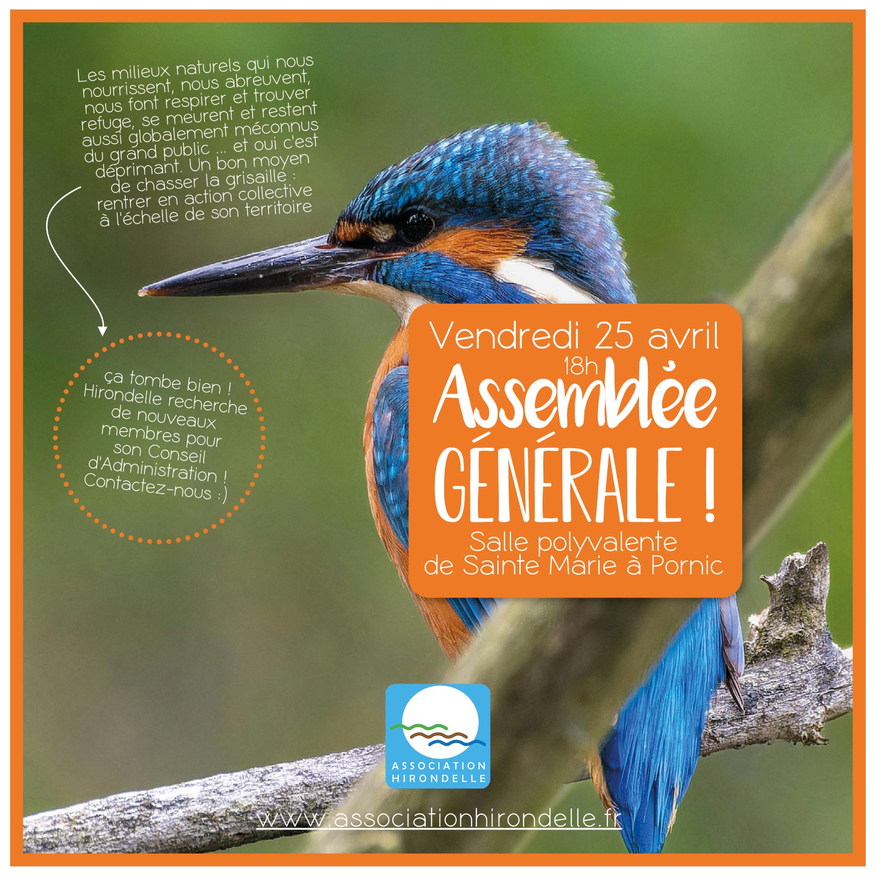 Association Hirondelle - [ ASSEMBLÉE GÉNÉRALE 🐦🌿 ] ON A BESOIN DE VOUS ...