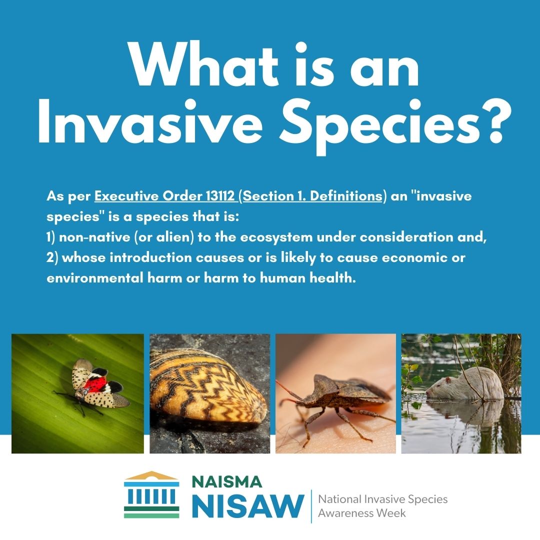 Kansas - This week is National #Invasive Species Awareness Week! #NISAW ...