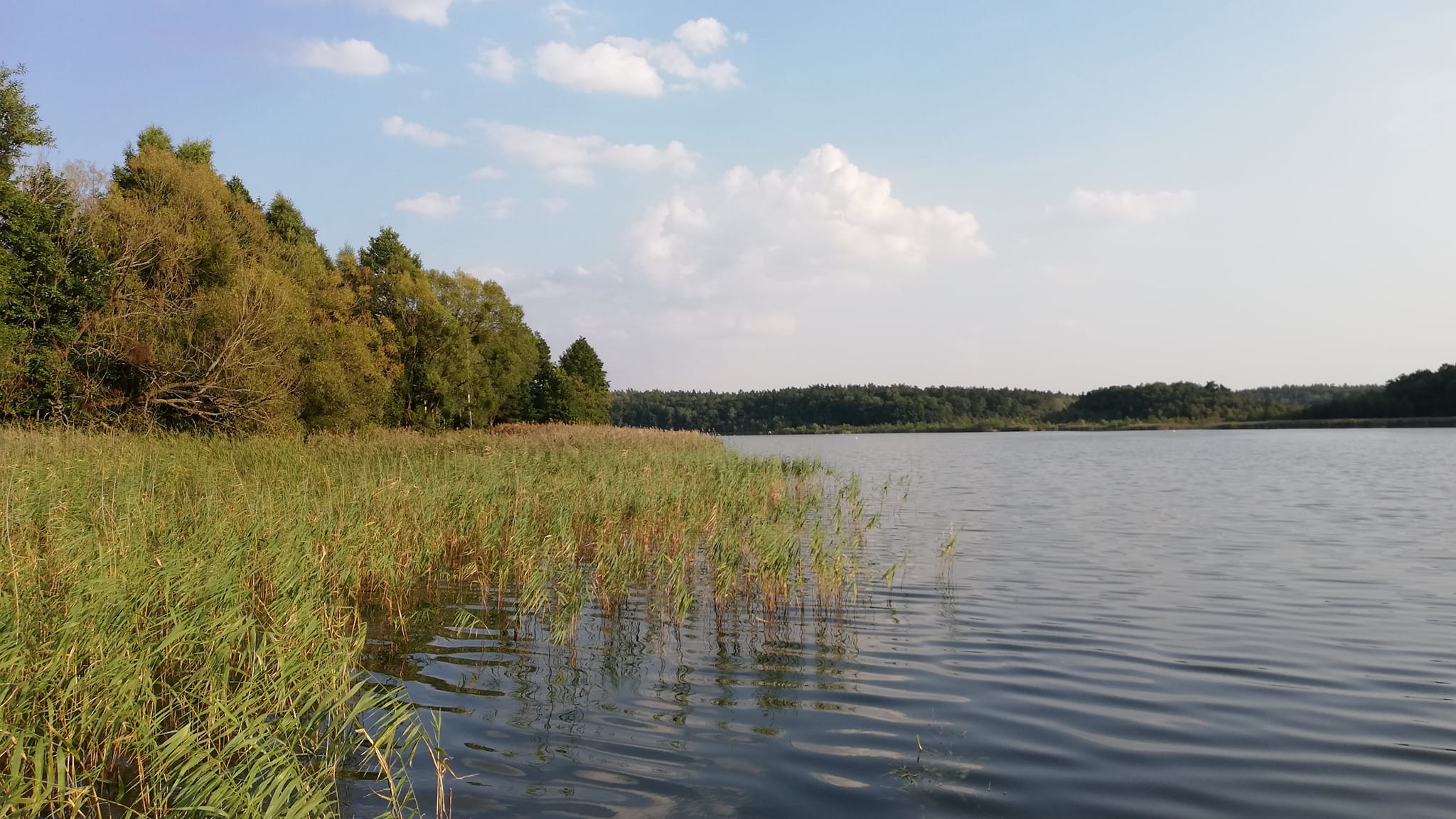 Leśny Domek Osiny | Nowe