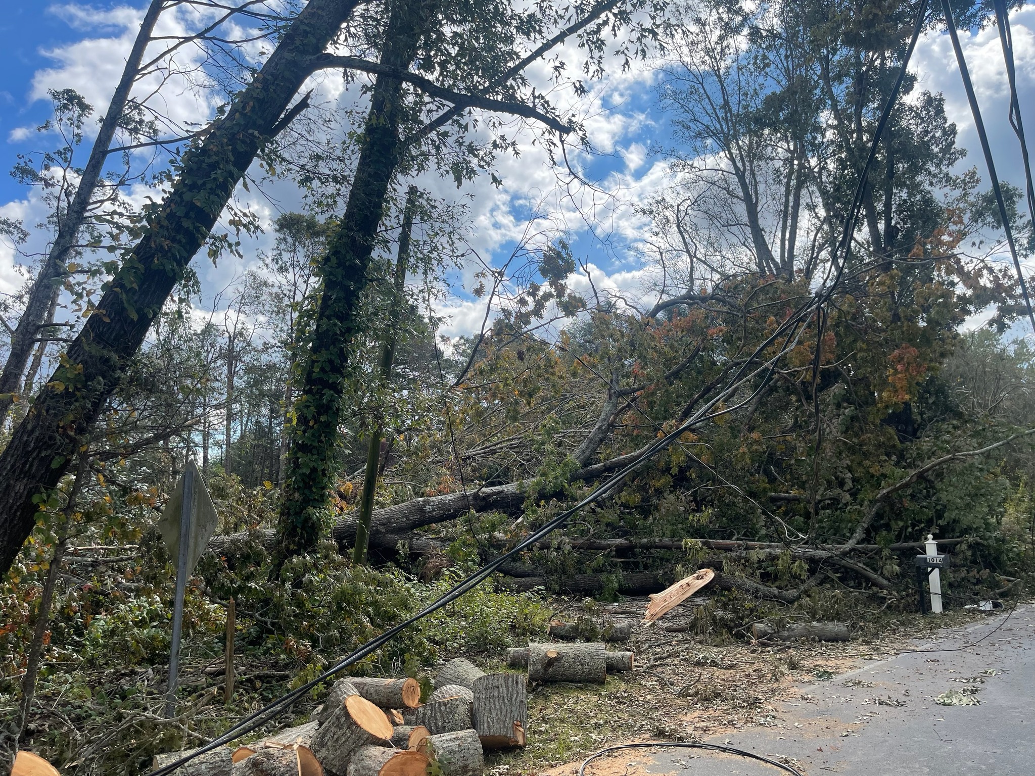 Buddy and Son’s Tree Service | Wilsons VA