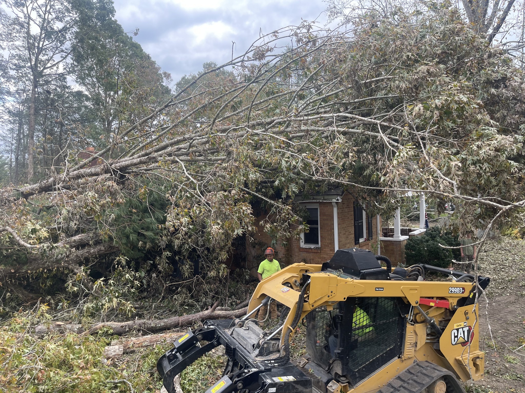 Buddy and Son’s Tree Service | Wilsons VA