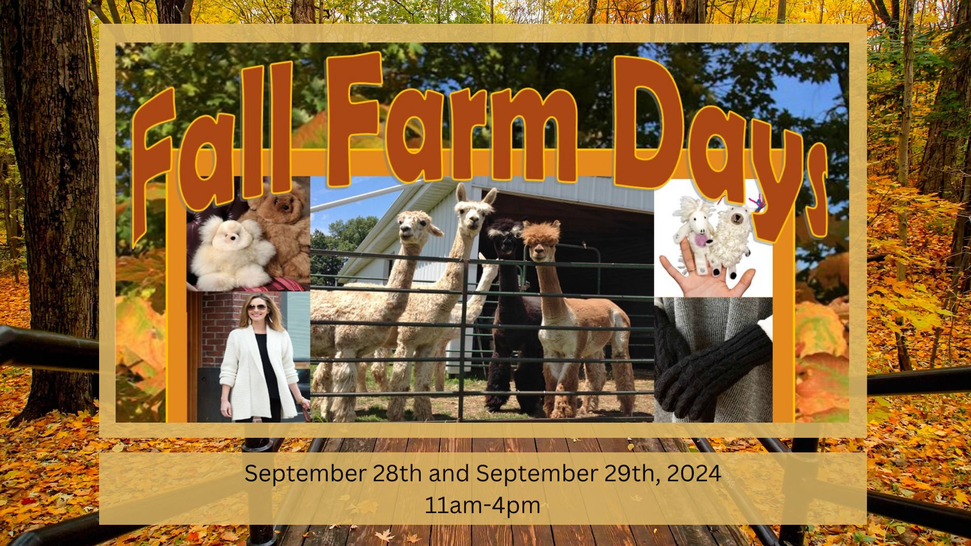Fall Farm Days/National Alpaca Farm Days