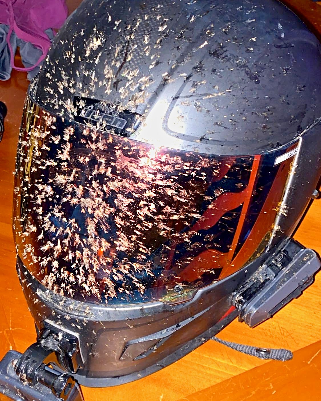 bug motorcycle helmet ICON Variant Pro - Chucker - Green * Injection molded Polycarbonate shell for strength and durability ICON Airflite Bugoid Blitz Helmet