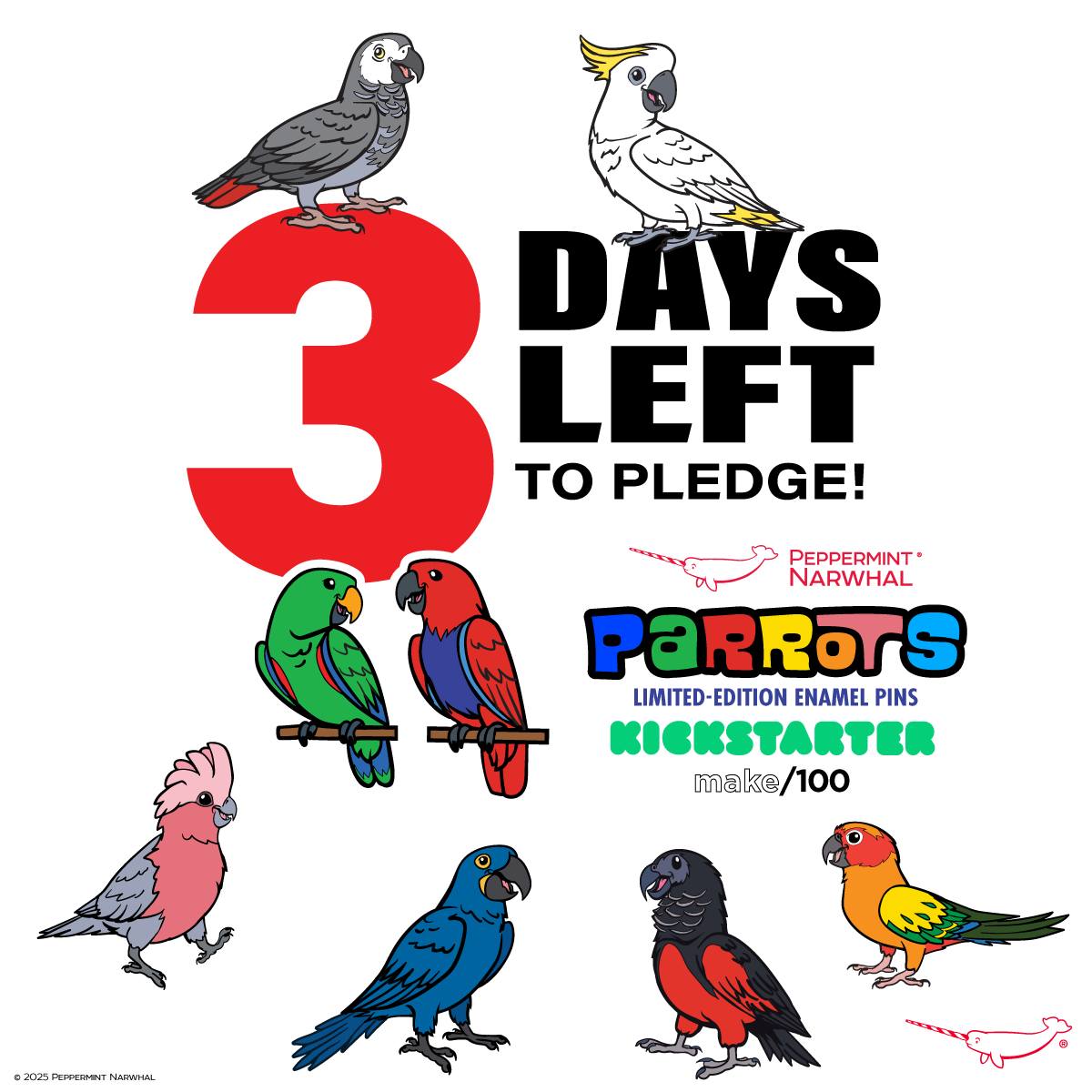 3-days-left-to-pledge-peppermint-narwhal-creative