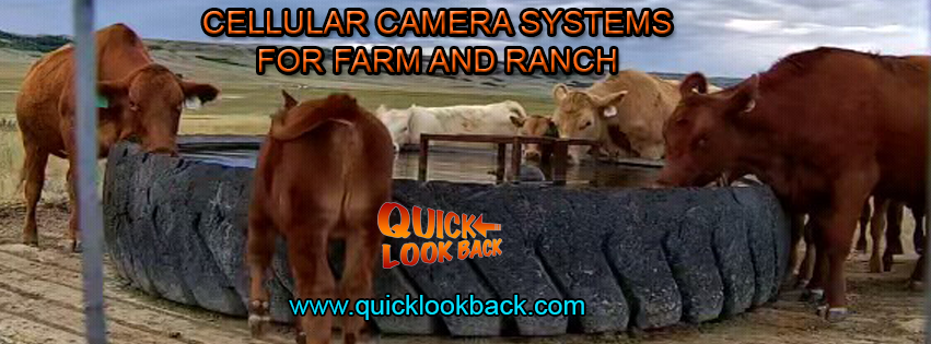 Quick Look Back Camera Systems