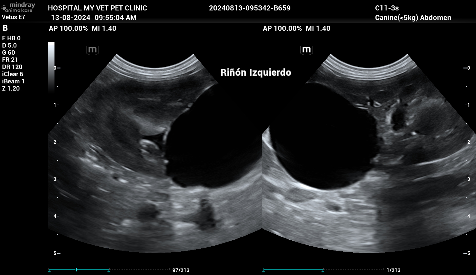 Diagnostico por Imagen Veterinario.