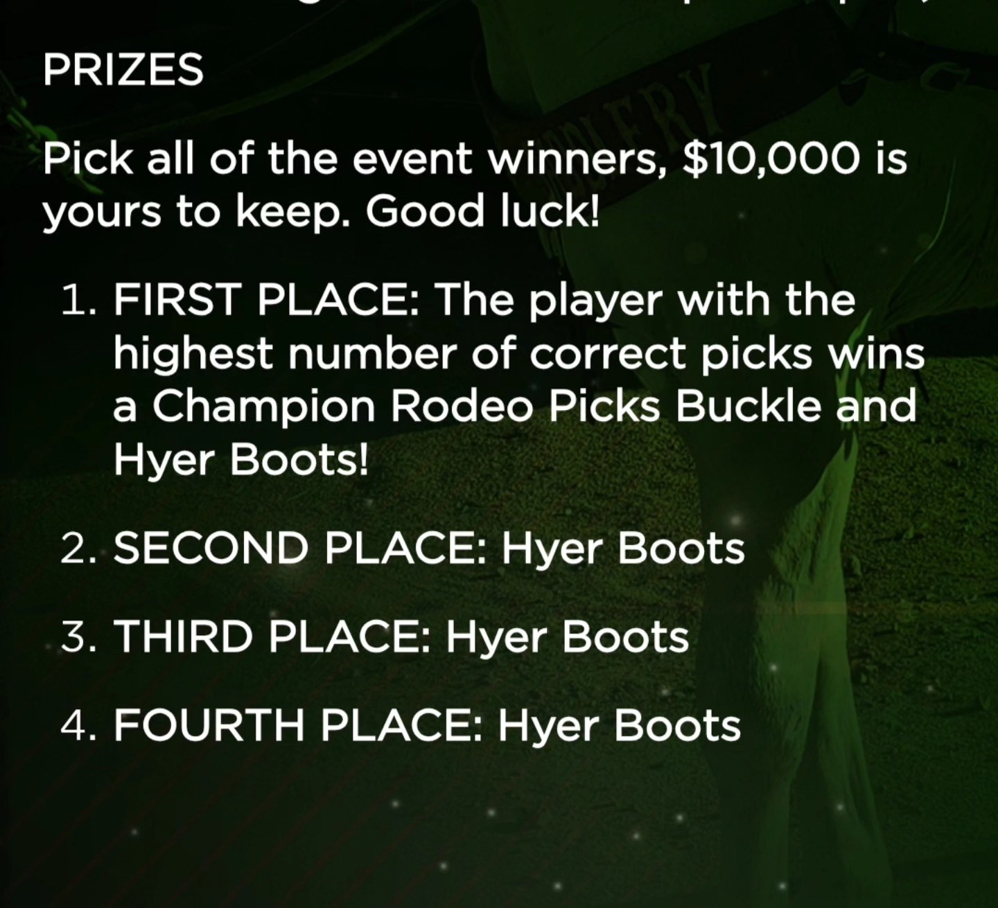 Pro Fantasy Rodeo