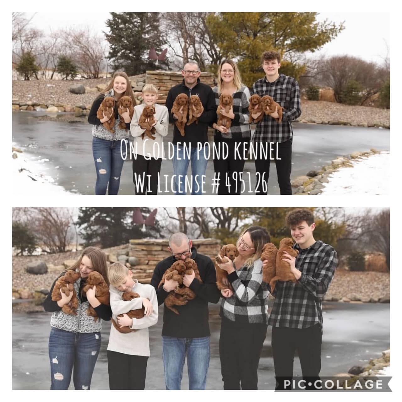 On Golden Pond Kennels | Hilbert WI
