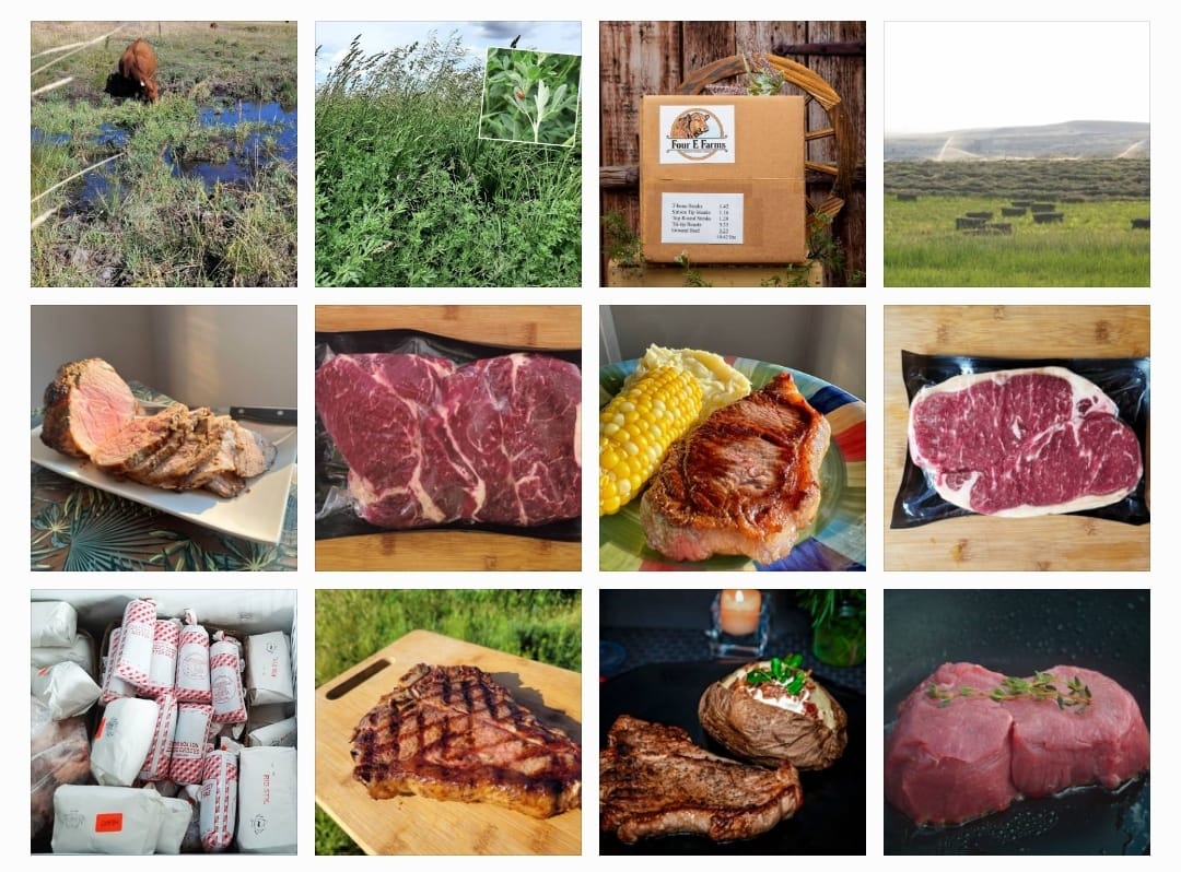 AngusPure Farmers &... - AngusPure Farmers & Producers